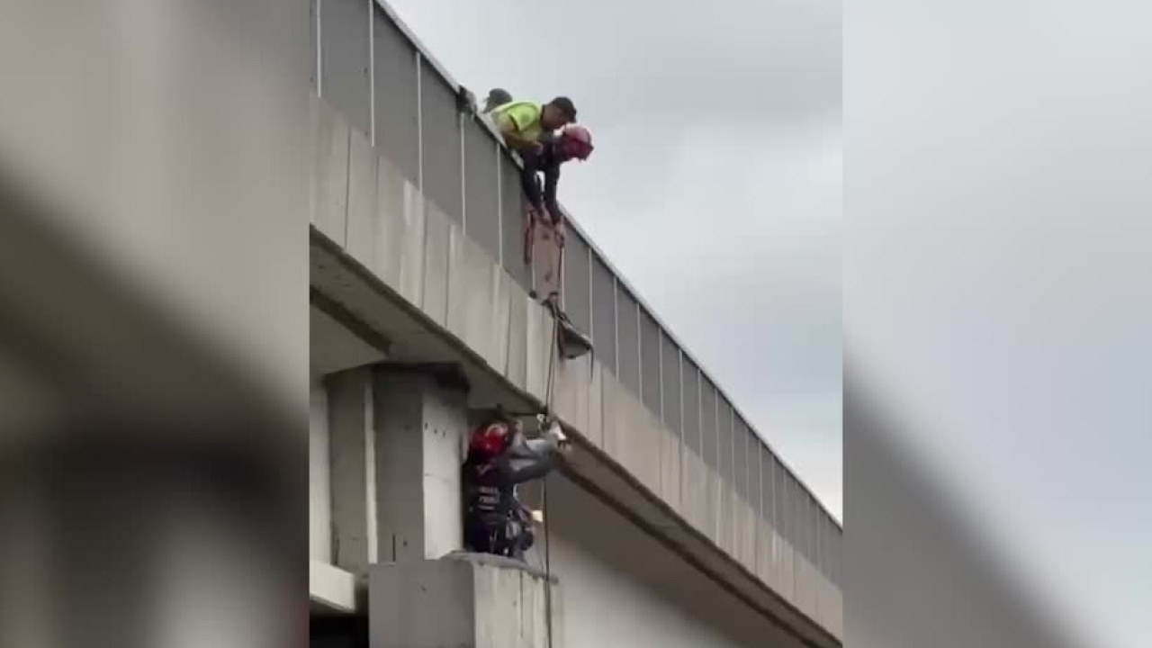 Kuzey Marmara Otoyolu’nda nefes kesen keçi kurtarma operasyonu